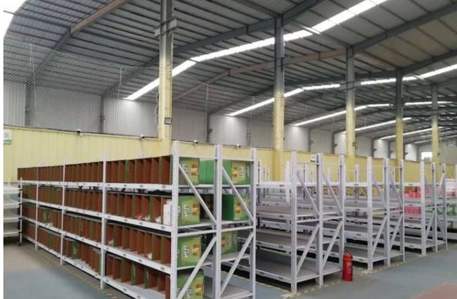 Global Self Storage2022�����б���ĸ������68.74����Ԫ ͬ�ȼ���45.98%