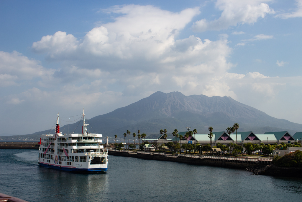 ������ȼ�ϡ���ɶ���������Ҳ͹���������⣡