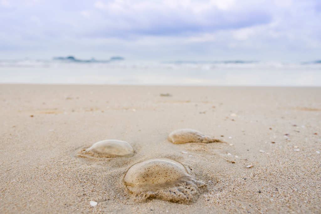 ������վ�ϰ���ǰ�ġ���ѡһ����ת�ã����ǰ�������