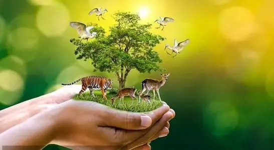 ����������ĸ����������ִ ���䷢������Ƭ�ͼ���Ʒ